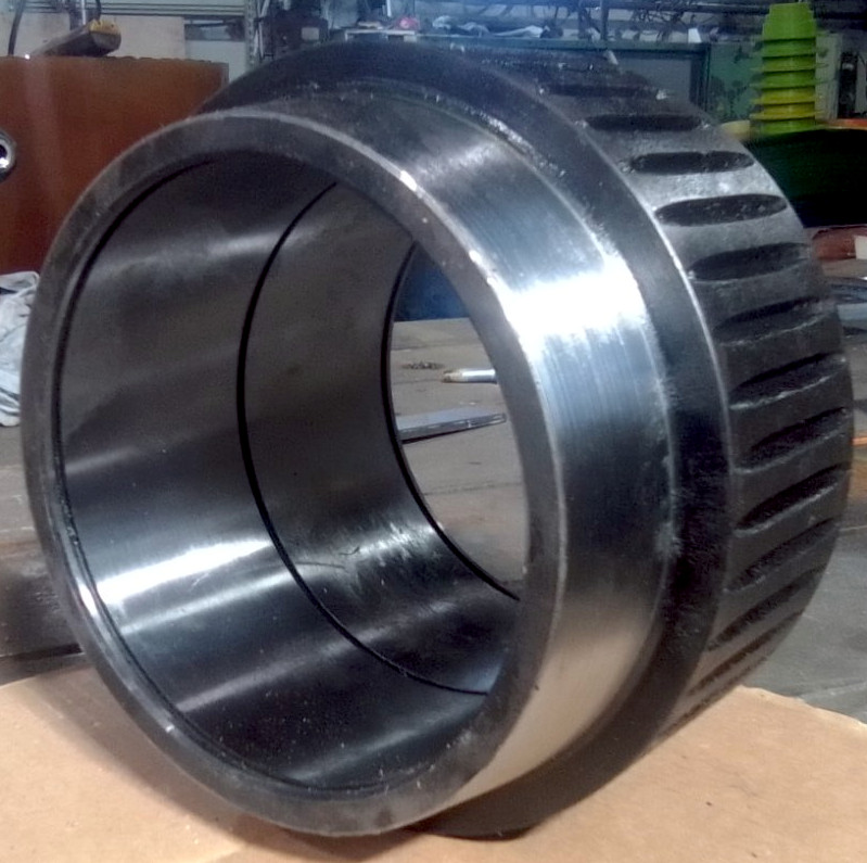 shell with large tooth